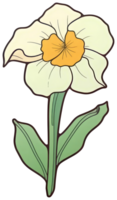 Flower sticker transparent illustration. . png