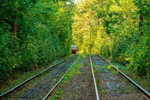 Tram and tram rails in colorful forest photo