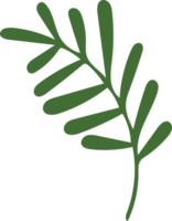 Green Christmas Leaves Hand Drawn Plant Decoration png