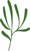 Green Christmas Leaves Hand Drawn Plant Decoration png