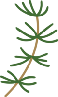 Green Christmas Leaves Hand Drawn Plant Decoration png