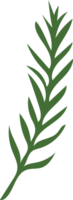 Green Christmas Leaves Hand Drawn Plant Decoration png