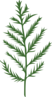 Green Christmas Leaves Hand Drawn Plant Decoration png