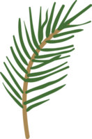 Green Christmas Leaves Hand Drawn Plant Decoration png