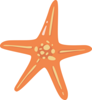 subacqueo stella marina cartone animato mondo png