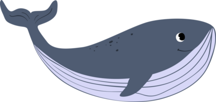 Underwater Whale Animal Cartoon World png