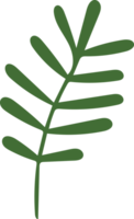 Green Christmas Leaves Hand Drawn Plant Decoration png