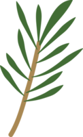 Green Christmas Leaves Hand Drawn Plant Decoration png