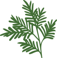 Green Christmas Leaves Hand Drawn Plant Decoration png