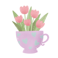 tulips in cup png