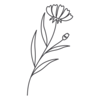 Strichzeichnungen Blumen png