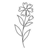 lijntekeningen bloemen png