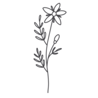 Strichzeichnungen Blumen png