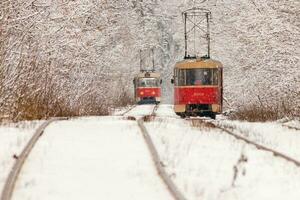 An old tram moving through a winter forest photo