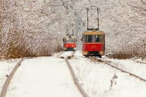 An old tram moving through a winter forest photo