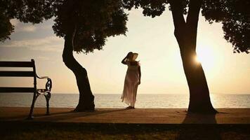 tropical destino playa puesta de sol y caucásico mujer en Dom sombrero y blanco elegante vestir video