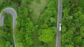 autobus allenatori su il strada depressione il denso conifero foresta video