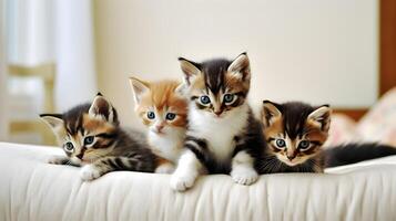 Group of different colored kittens. photo