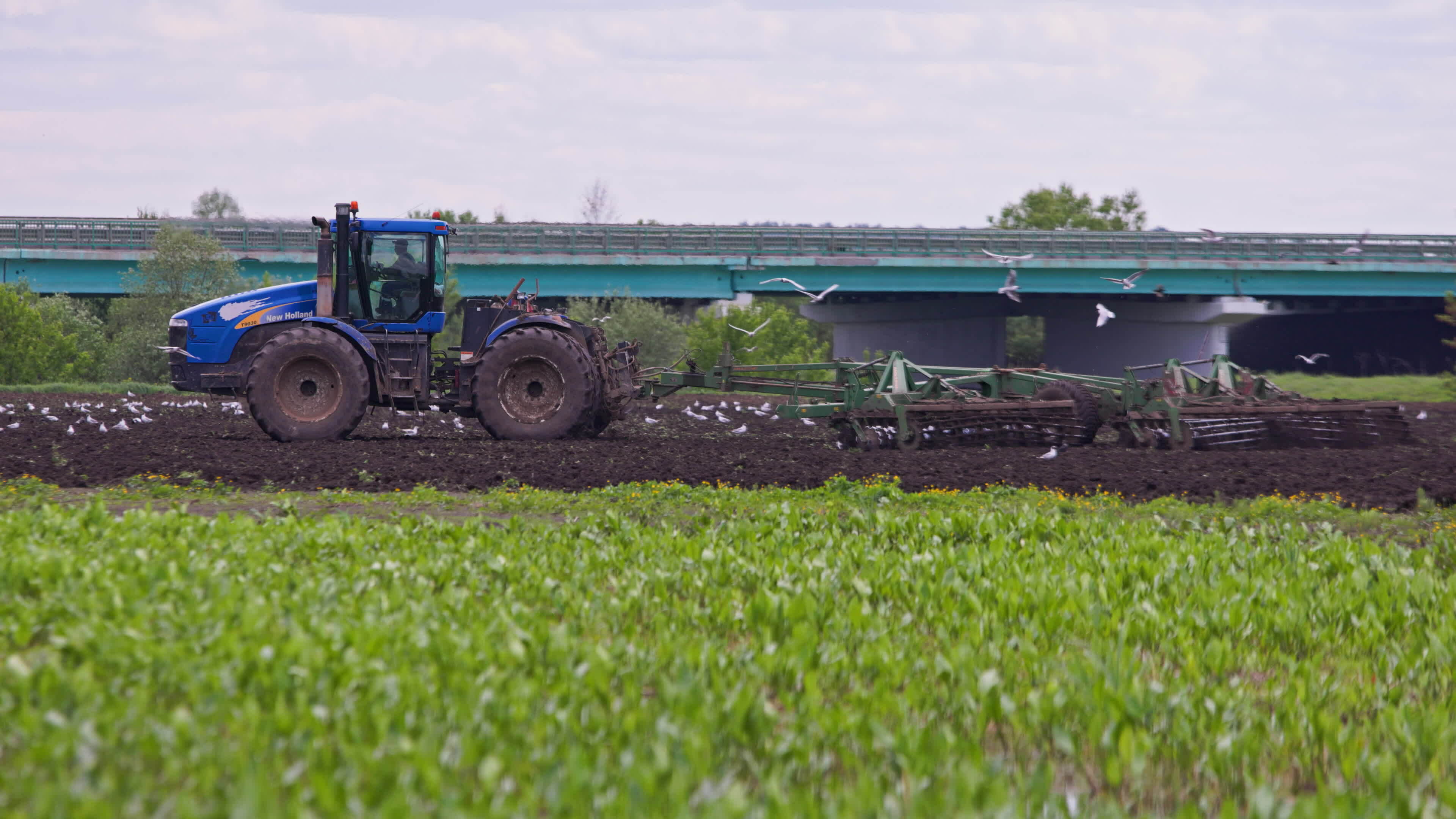 Blue tractor with double wheels pulling disc harrow with roller basket