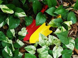 soil spoon and colorful for  garden workker photo