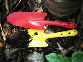 soil spoon and colorful for  garden workker photo