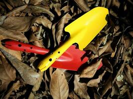 soil spoon and colorful for  garden workker photo