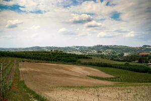 hermosa primavera paisajes en costigliole d'asti, en el piamontés langhe de el asti zona en el primavera de 2023 foto