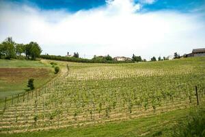 hermosa primavera paisajes en costigliole d'asti, en el piamontés langhe de el asti área, en el primavera de 2023 foto