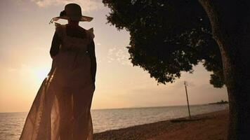 Woman Relaxing in Front of the Scenic Sea During Sunset video