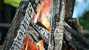 bijna verbrand uit hout logboeken in kampvuur in langzaam beweging video