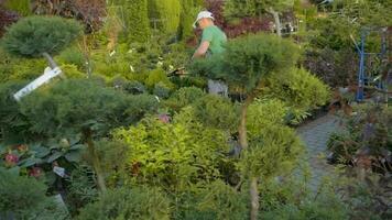 tuin planten in de tuin afdeling op te slaan video