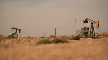 novembre 23, 2017. meridionale California, unito stati. lufkin azienda pumpjack. olio pompaggio. video