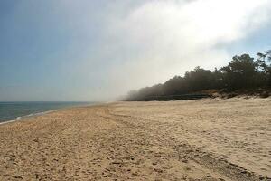 landscape of the blue Baltic sea in Poland and the beach on a sunny warm day photo