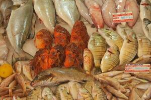 stall with various types of fish in the store photo