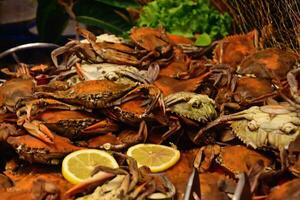 tasty fresh seafood on display in a shop or restaurant ready to eat photo