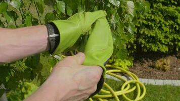 jardinero quitando su jardín guantes de cerca lento movimiento video