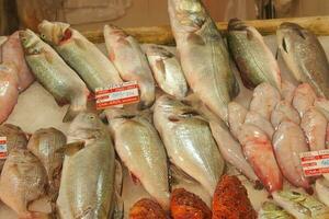 puesto con varios tipos de pescado en el Tienda foto