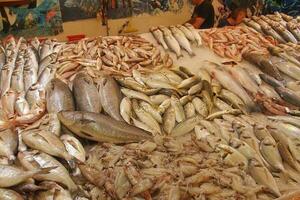 puesto con varios tipos de pescado en el Tienda foto