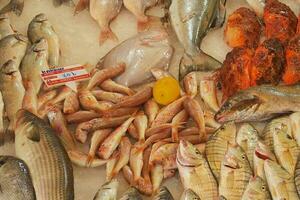 stall with various types of fish in the store photo