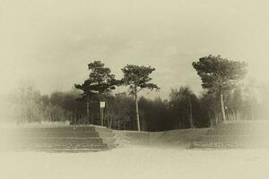 views of the Polish Baltic Sea in spring in a retro style photo