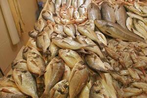 stall with various types of fish in the store photo