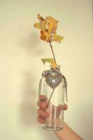 yellow golden autumn oak leaf on a branch in a glass transparent vase with a heart held in the hand of a child photo