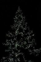 blurred lights illuminating the Christmas tree on a black background photo