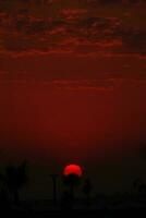 exótico rojo puesta de sol con edificios contorno y palma árboles, foto
