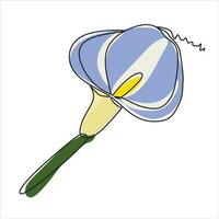 Vector lily calla flower drawing of one continuous line. Color illustration of lily calla in the style of one line art