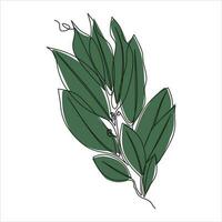 Vector leaf drawing of one continuous line. Color illustration of leaf in the style of one line art