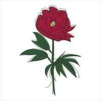 Vector red rose drawing of one continuous line. Color illustration of flowers in the style of one line art