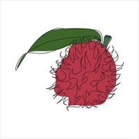 Vector rambutan fruit drawing of one continuous line. Color illustration of rambutan fruit in the style of one line art