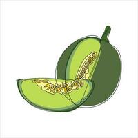 Vector melon fruit drawing of one continuous line. Color illustration of melon fruit in the style of one line art