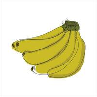 Vector banana drawing of one continuous line. Color illustration of banana in the style of one line